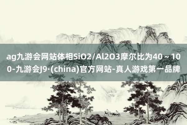 ag九游会网站体相SiO2/Al2O3摩尔比为40～100-九游会J9·(china)官方网站-真人游戏第一品牌