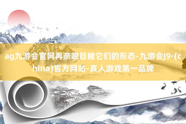 ag九游会官网再亲眼目睹它们的形态-九游会J9·(china)官方网站-真人游戏第一品牌