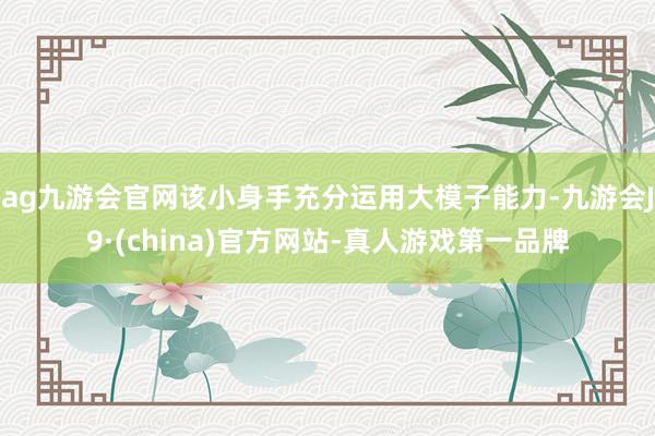 ag九游会官网该小身手充分运用大模子能力-九游会J9·(china)官方网站-真人游戏第一品牌