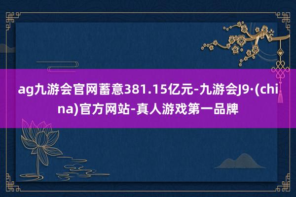 ag九游会官网蓄意381.15亿元-九游会J9·(china)官方网站-真人游戏第一品牌