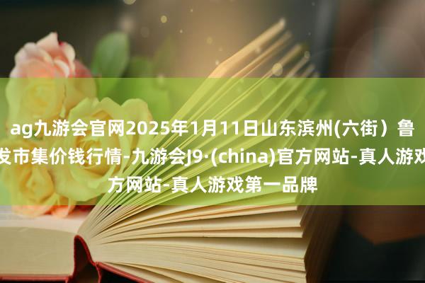 ag九游会官网2025年1月11日山东滨州(六街）鲁北蔬菜批发市集价钱行情-九游会J9·(china)官方网站-真人游戏第一品牌