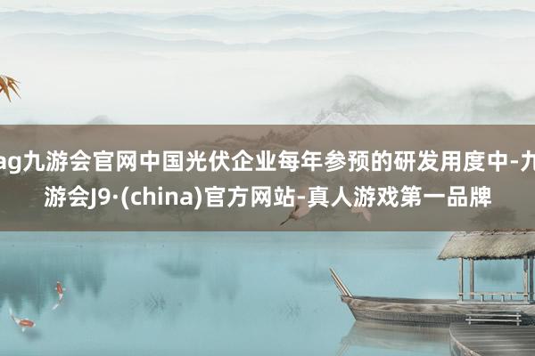 ag九游会官网中国光伏企业每年参预的研发用度中-九游会J9·(china)官方网站-真人游戏第一品牌