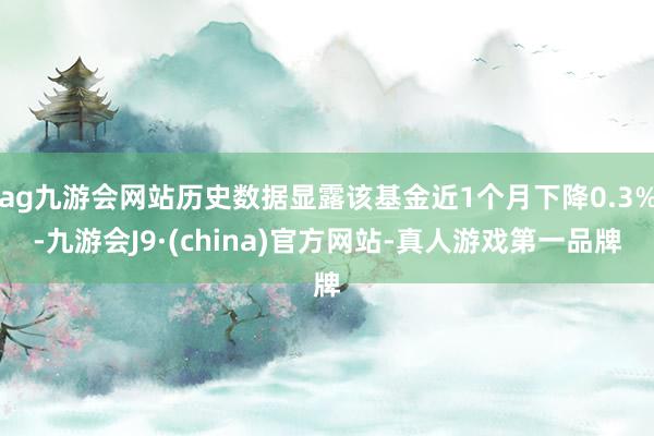 ag九游会网站历史数据显露该基金近1个月下降0.3%-九游会J9·(china)官方网站-真人游戏第一品牌